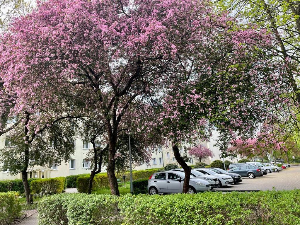 Apartament Rataja50 Όλστυν Εξωτερικό φωτογραφία